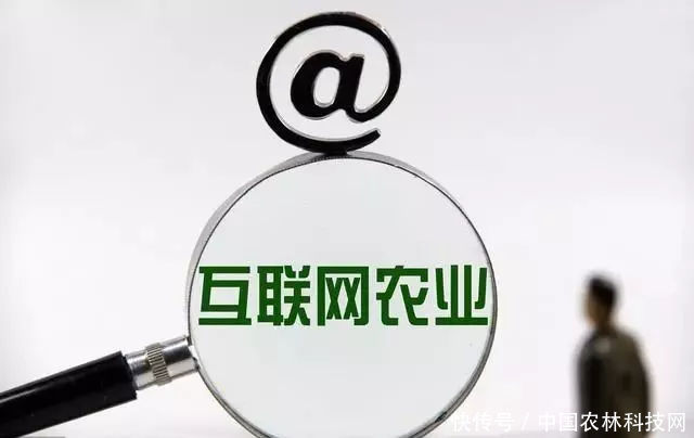 13.png