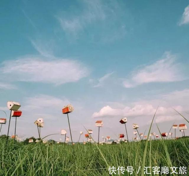 女人30岁前一定要做的30件事，再不疯狂就老了