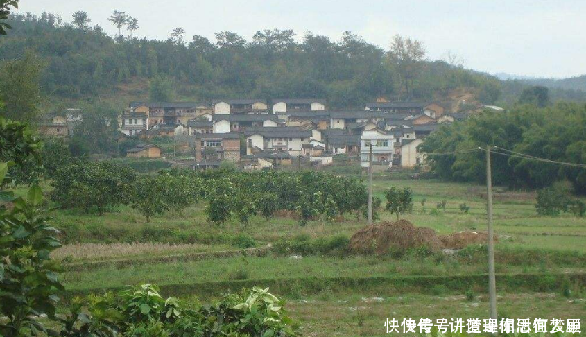 农村未来将统一规划,这些地方优先实行,看看有