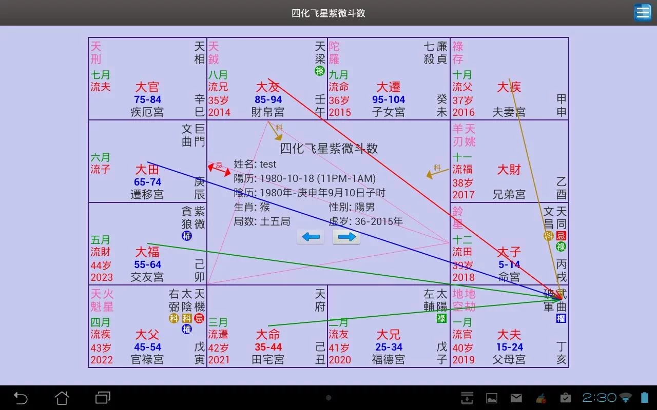 四化飞星紫微斗数 - Zi Wei Dou Shu截图7