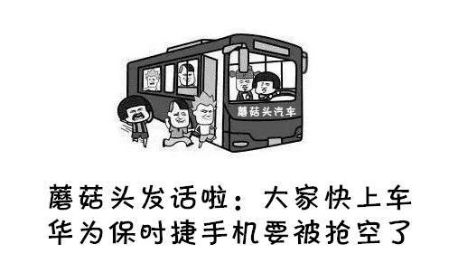 蘑菇头图片:买不起华为保时捷手机的大全头过不了蘑菇包的生日表情表情图片