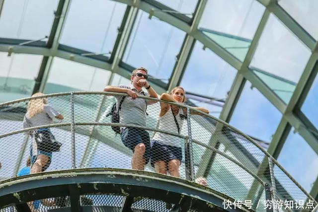 这是什么节奏?新加坡竟然花了10亿打造“原始森林”