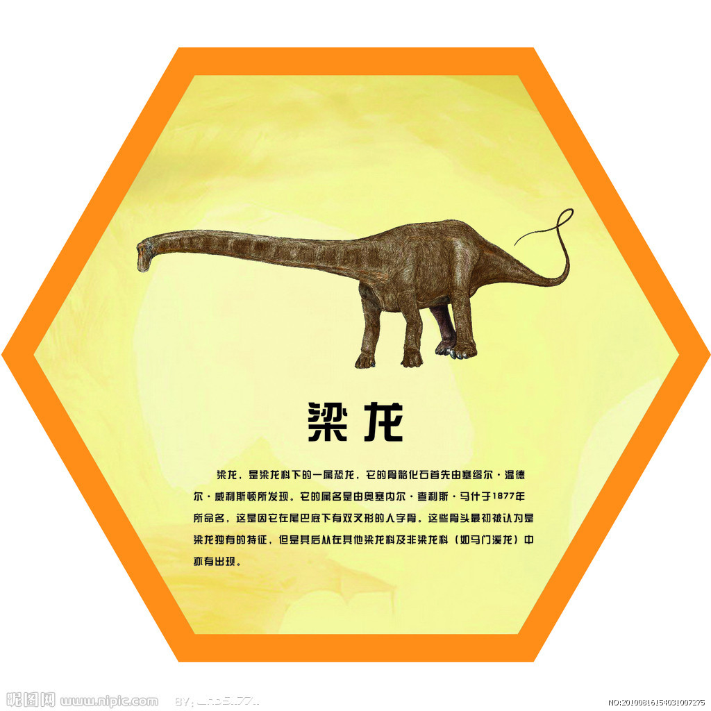 梁龙-梁龙科的一属恐龙
