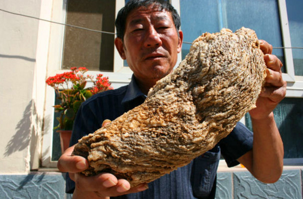 农民山上捡到一块“大肥肉”,拿去专家鉴定后,农民乐开了花