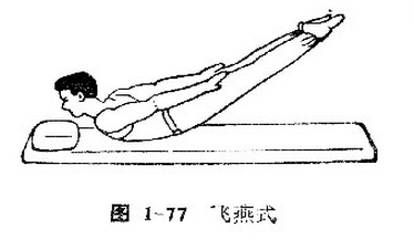 飞燕式的锻炼方法?_360问答