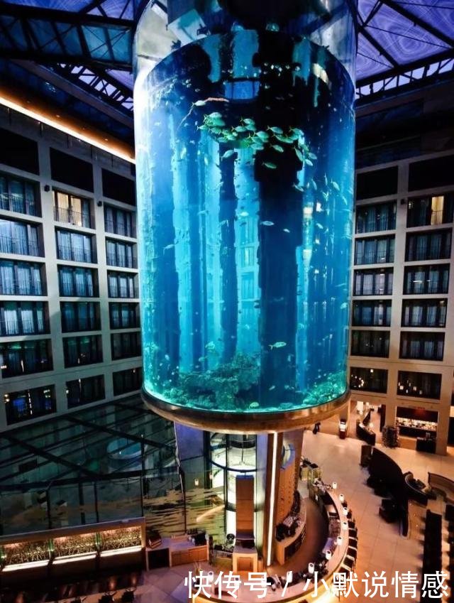 t0117ad4f09d8ae5207.jpg?size=640x849