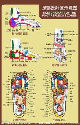 脚底哪里疼是胃不舒服啊