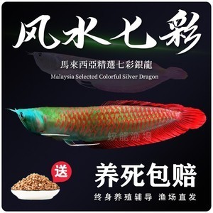 濱州魚缸清洗服務電話是多少（濱州魚缸清洗服務電話是多少號）