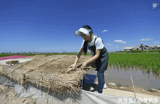 为供养妹妹上学, 我愿意嫁给傻子, 新婚夜他给我一盒子, 打开我泪