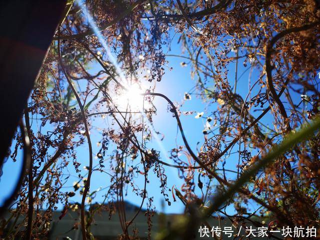 手机拍照如何不入坑华为P20Pro这几个技巧值