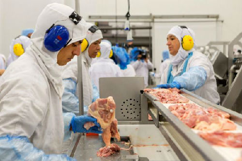 巴西巴拉那州拉帕一鸡肉加工厂生产线.(法新社)
