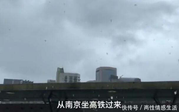 异地恋情侣吵架 女友顶着台风赶到上海道歉