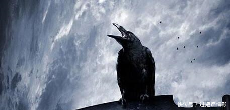 为何山东曲阜孔林上不落乌鸦,下不招蛇说出来