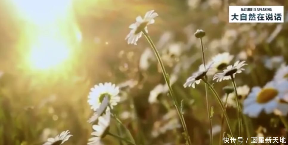 t011ba3b439d19f5475.jpg?size=966x488