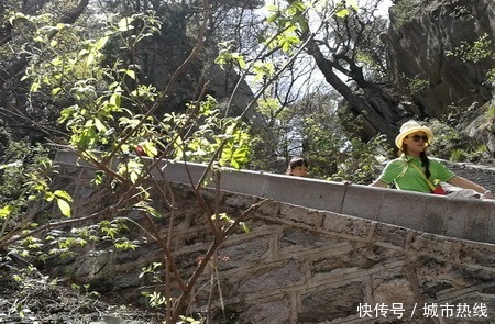 五一小长假 天下谷集团家人团走进尧山景区拥抱大自然