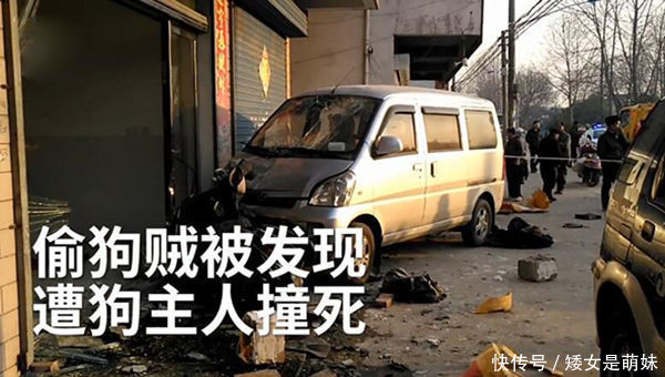 嚣张偷狗贼毒死两狗,拿毒针与狗主人对峙,被车撞死