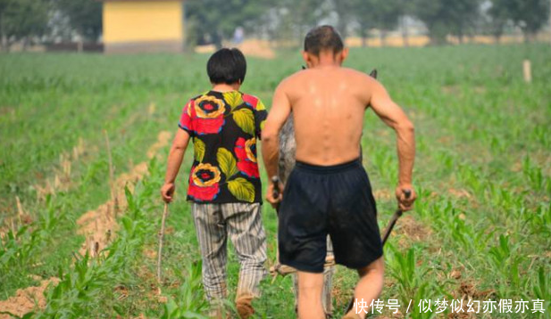 婆婆拿出1万彩礼,父亲收到后很是开心,马上给