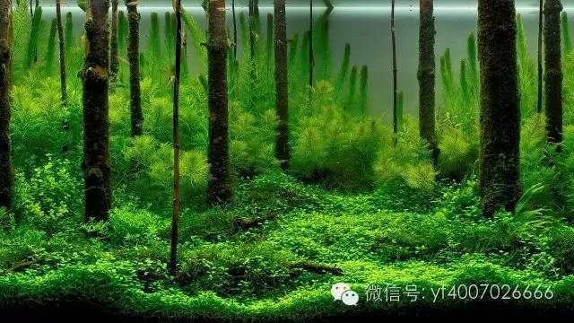 江門魚缸售后維護電話地址（江門魚缸售后維護電話地址查詢）