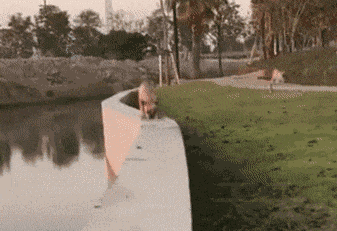 搞笑gif: 跳的那么娘炮, 连跑步机都看不下去了