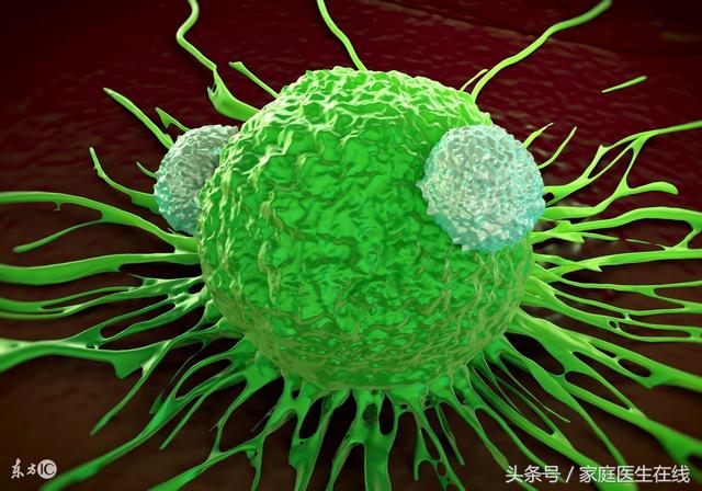 癌症为什么不能彻底治愈?