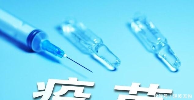 狗狗狂犬病有5种症状,如果超过三种,说明已经