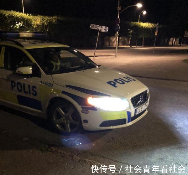 中国游客遭瑞典警察粗暴对待被扔墓地,大使馆