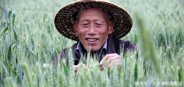 专家建议取消农村养老保险,更改为城市退休金