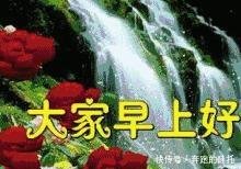 2018最新版漂亮早上好v表情表情图片一山杨紫斗图表情包张动态最漂图片