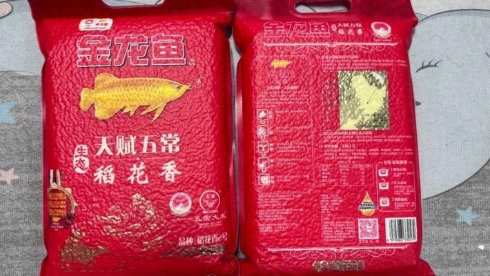 魚缸廠招聘信息（魚缸廠招聘信息最新） 其他品牌魚缸