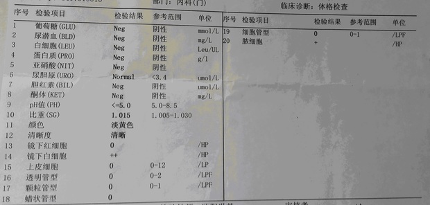 相关问题 前列腺常规检查脓细胞一个加号,白细胞3个加号严重.2014.