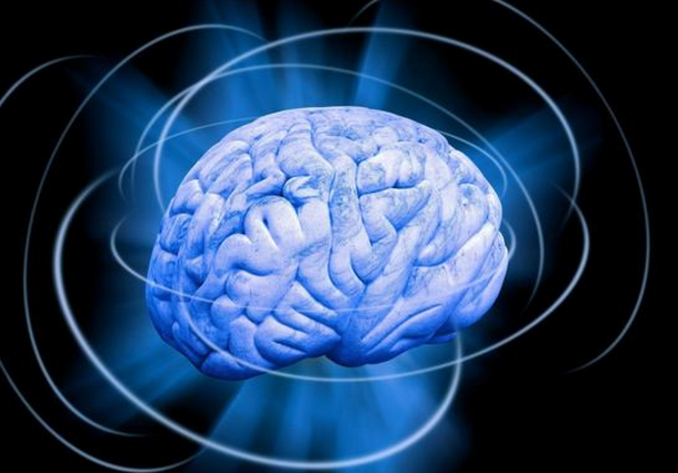 经常吃黑豆,身体上这5个好处明显看得见