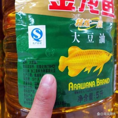 大型雷龍魚(yú)品種圖片（大型雷龍魚(yú)品種圖片大全）