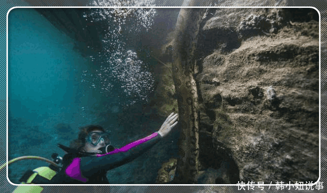 女子疑似发现“龙形生物”, 靠进细看后, 顿时屏住呼吸