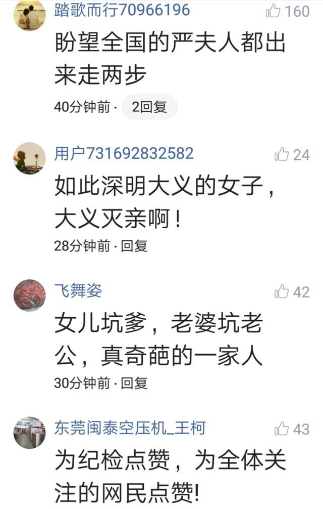 千呼万唤始出来的“严书记”终于被查！网友狂赞：严夫人功不可没