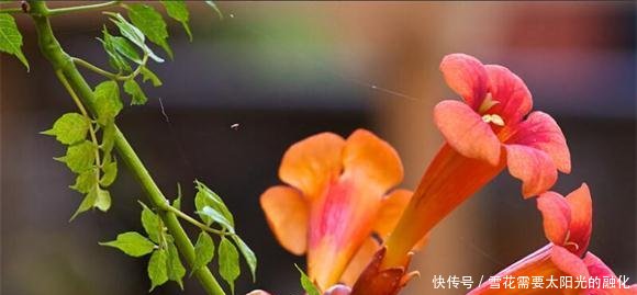 t0128de98f9d8631c17.jpg