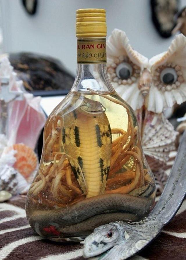 安检员带警犬巡查,狗狗箱子嗅来嗅去,打开箱子后愣住了!