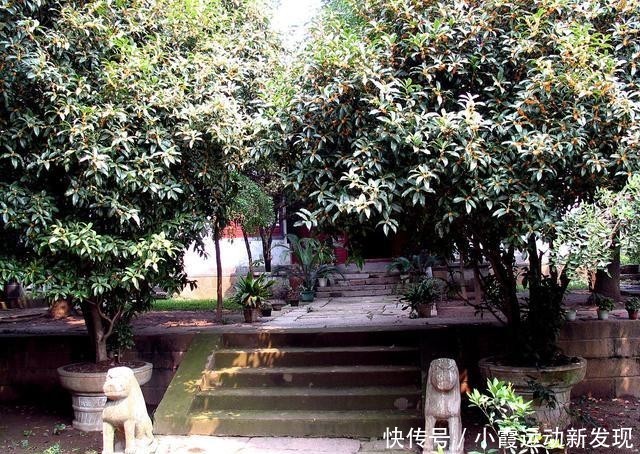 如何处理医患关系