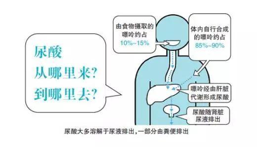 身体尿酸太高,促排泄是关键,1种食物要多吃!