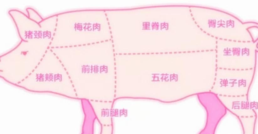 猪身上的哪块肉最好吃,哪块肉最值钱?赶紧买来