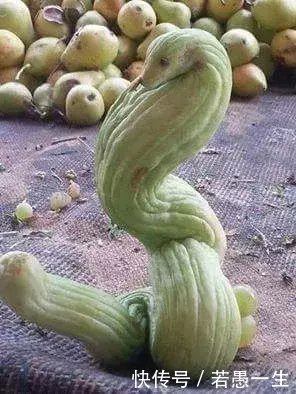 发几张不正经的照片给你看看,笑死人不偿命!专