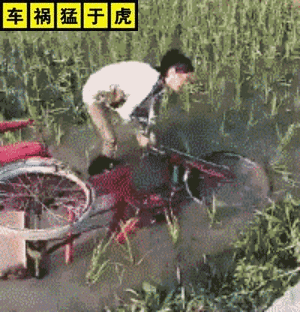 车祸猛于虎,盘点方圆十里寸草不生的奇葩女司机!