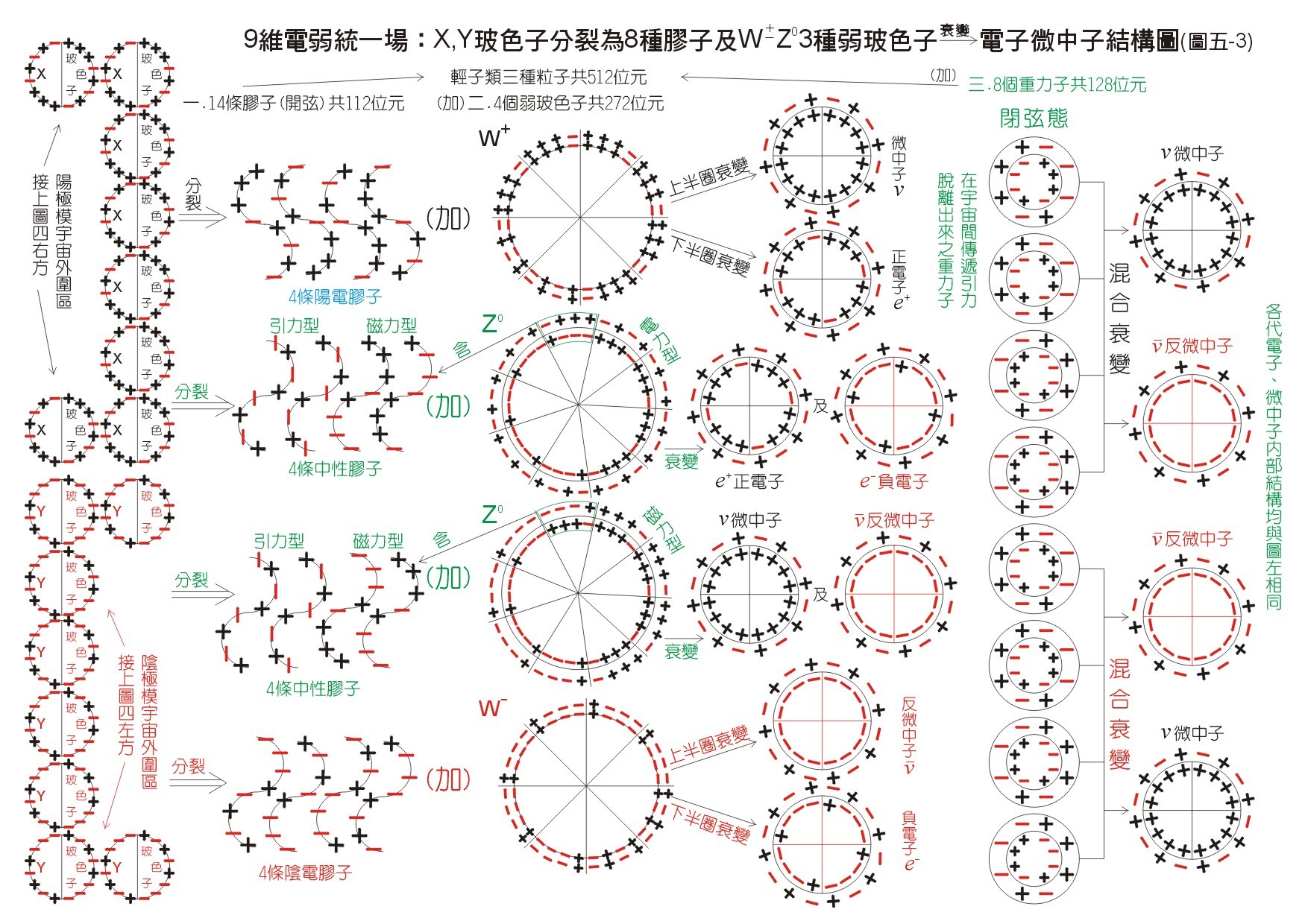 引(重)力子,胶子,三种中介矢量玻色子w ,w-,z0之关系图