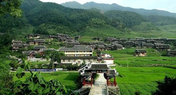 奇特美食之旅:湖南城步三叶虫茶,虫粑粑万金