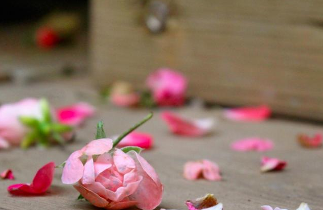 丈夫嫌她胖离婚,一年后酒会遇前夫,惊艳全场!