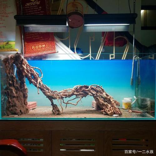 保定魚缸水族定做電話地址是多少（保定魚缸水族定做電話地址是多少號）