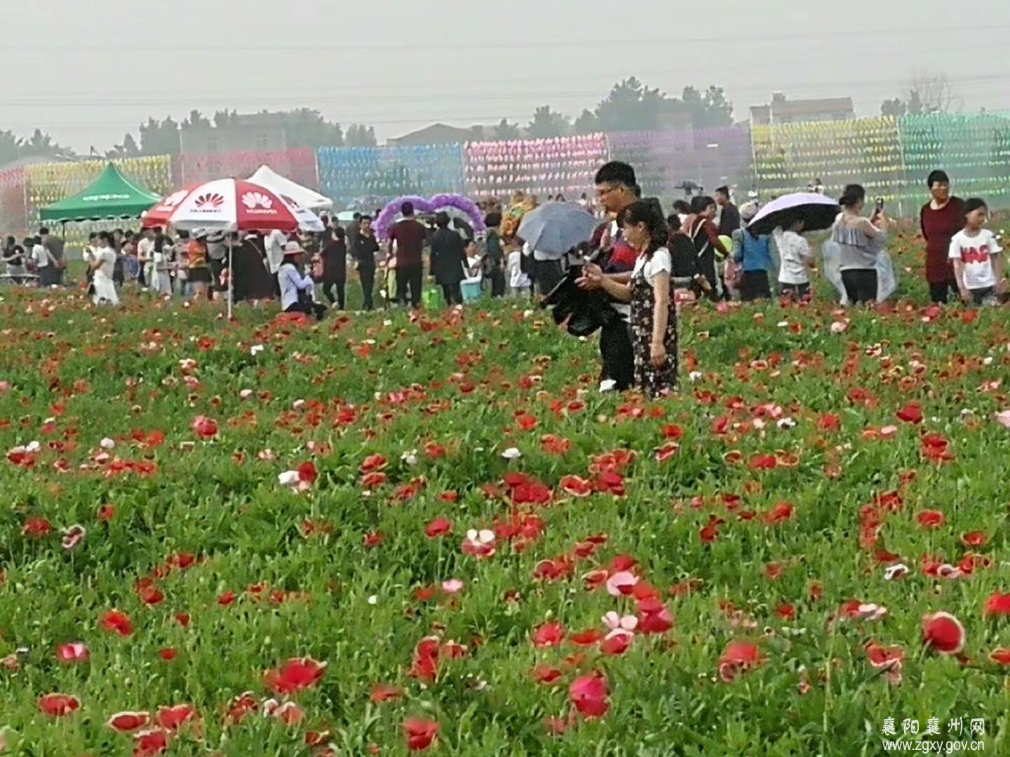 襄州区:花海开园\＂五一\＂假期迎来客流高峰