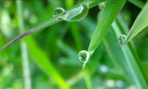 珍爱生命,穷也好,富也好,只要活着就好