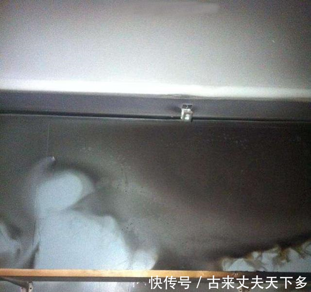 六岁小男孩半夜偷偷起来看动画片,突然闻到一