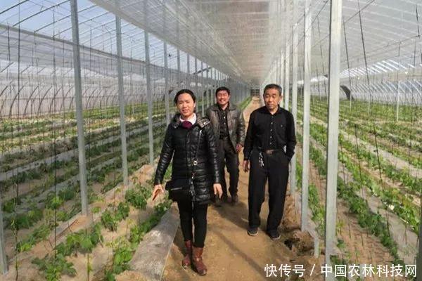 河北大名县的“第一书记”们留下了哪些财富?