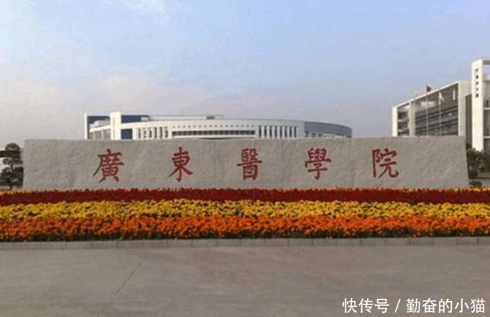 高三填报:11所容易考的二本医科大学!录取分